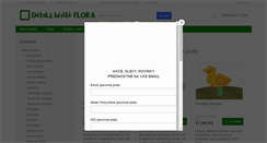 Desktop Screenshot of floraservis.cz